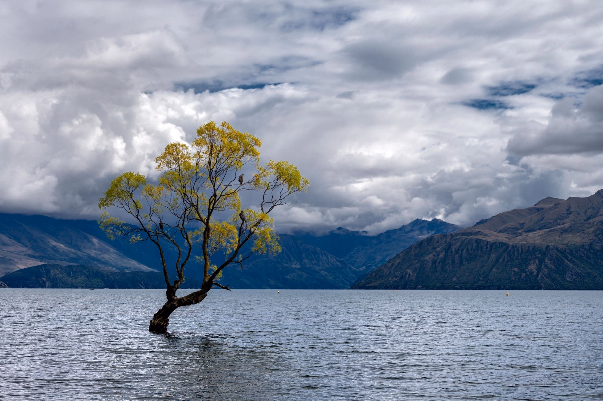 Wanaka, Nueva Zelanda