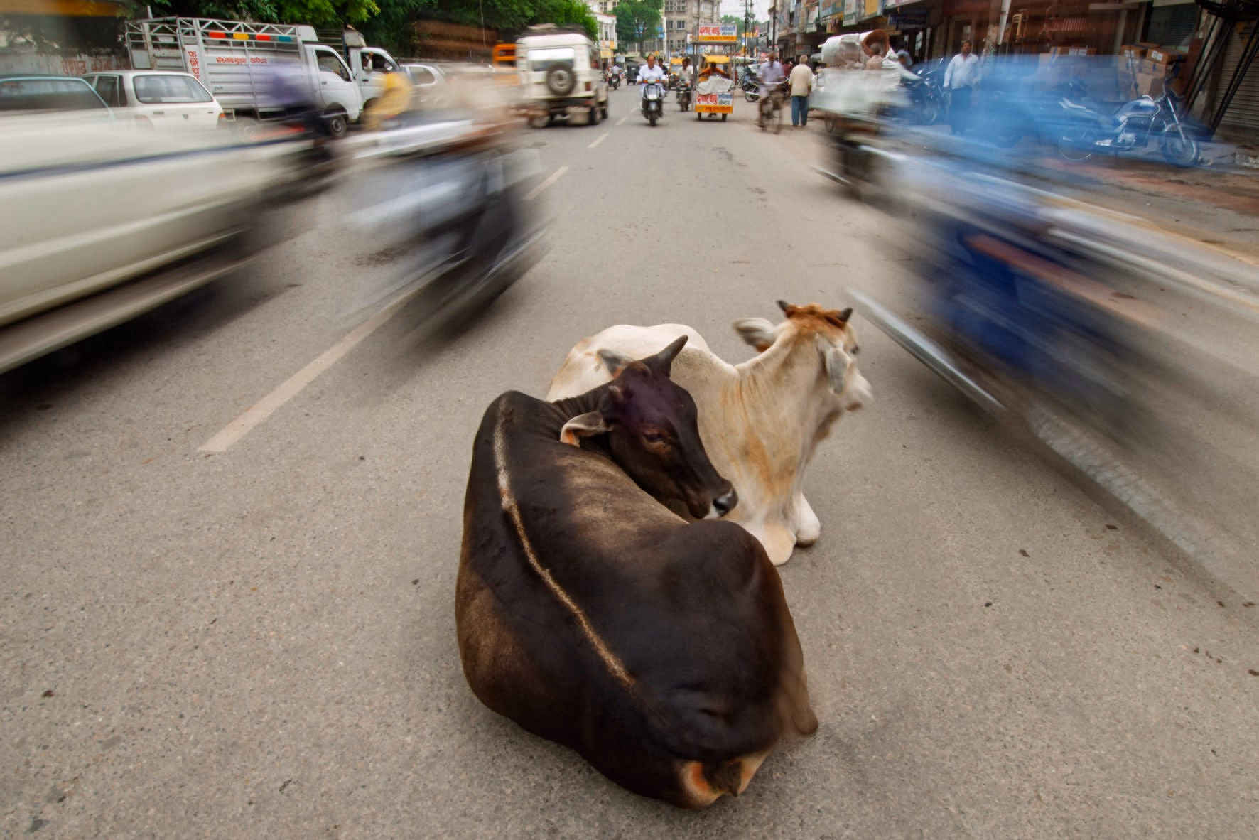 Udaipur, India